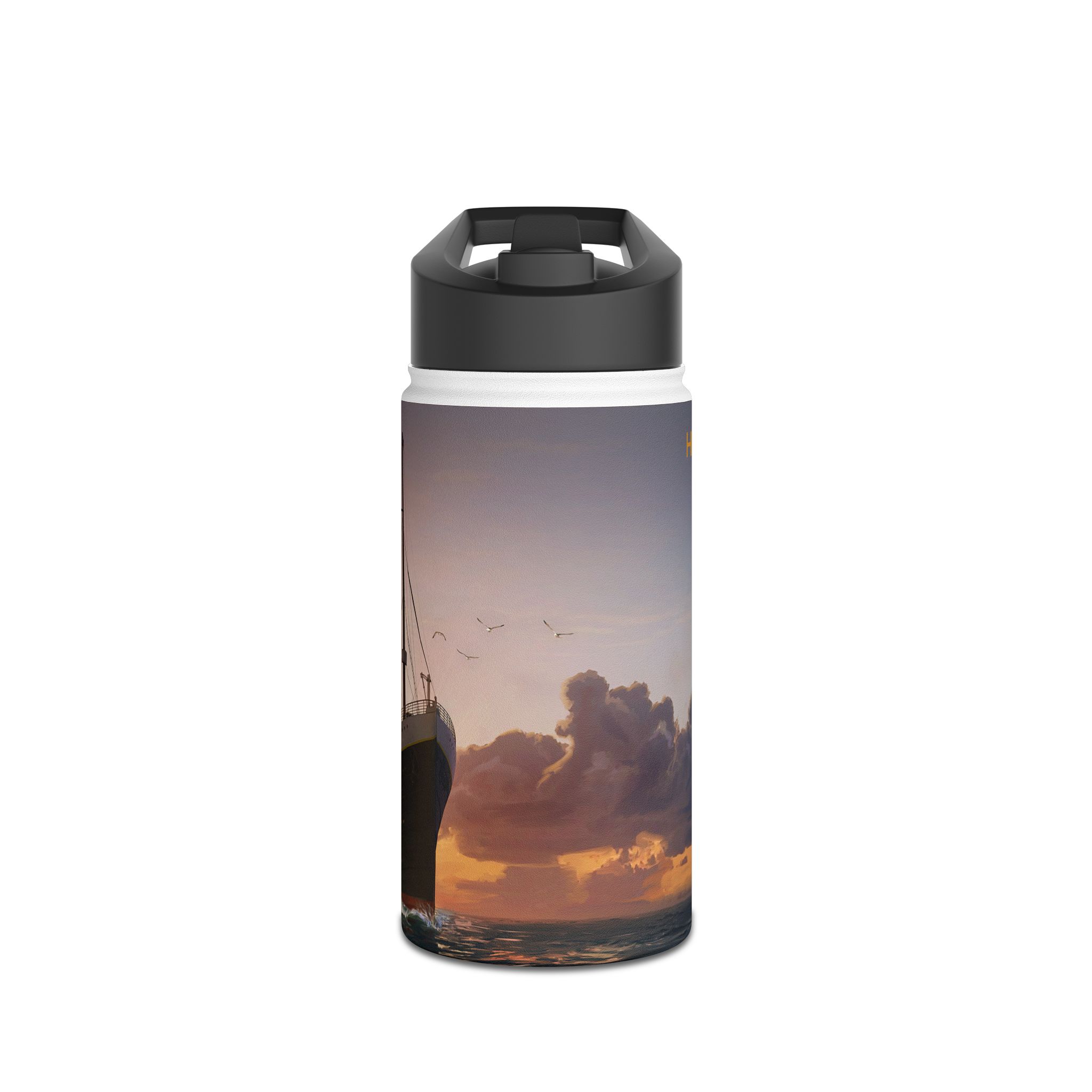 Titanic Stainless Steel Water Bottle